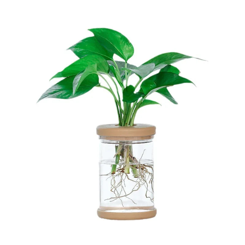 Mini Hydroponic Flower Pot Home Vase Decor Transparent Imitation Glass Plastic Plant Pots Green Plants Pot For Home Decoration