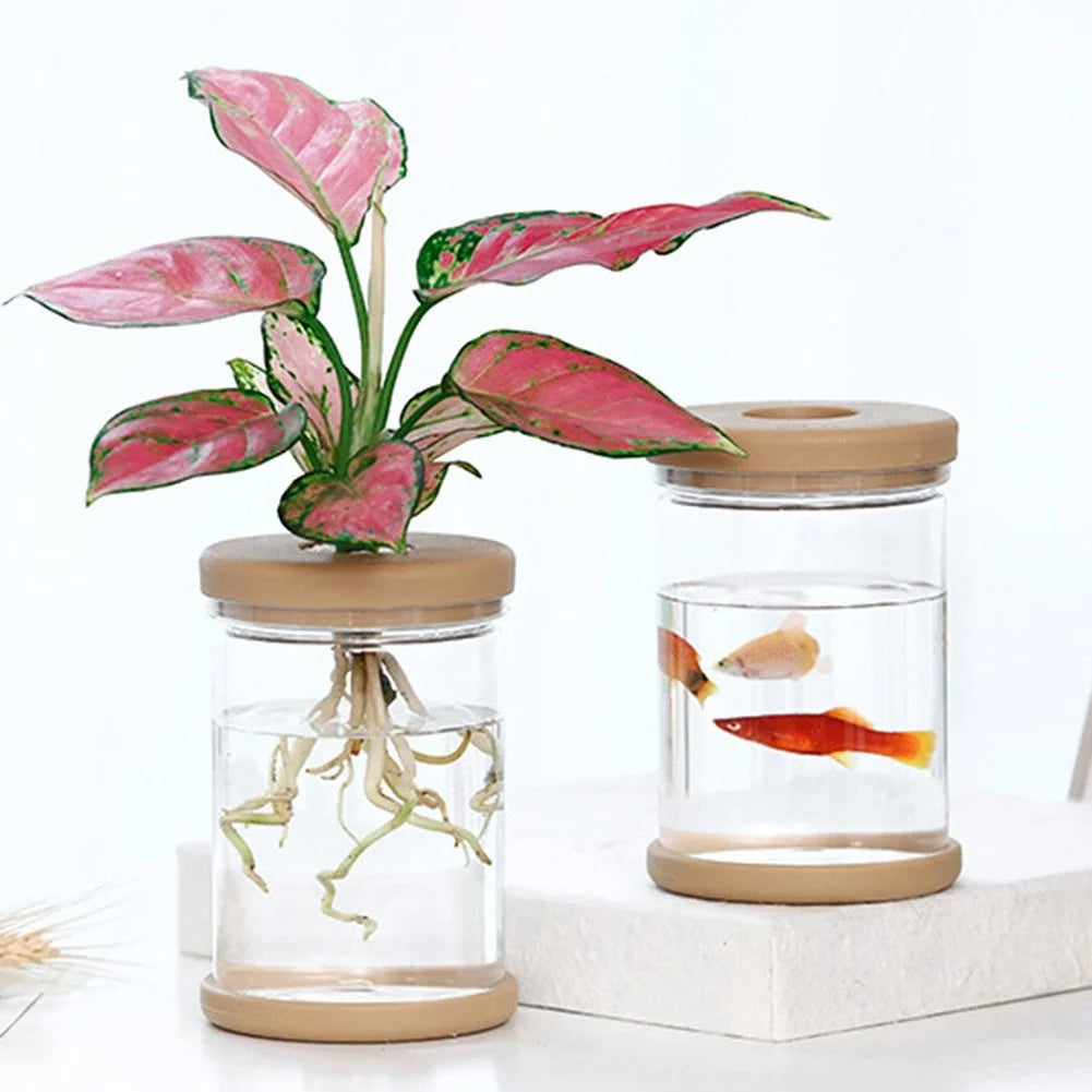 Mini Hydroponic Flower Pot Home Vase Decor Transparent Imitation Glass Plastic Plant Pots Green Plants Pot For Home Decoration