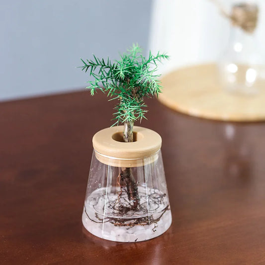 Mini Hydroponic Flower Pot Home Vase Decor Transparent Imitation Glass Plastic Plant Pots Green Plants Pot For Home Decoration