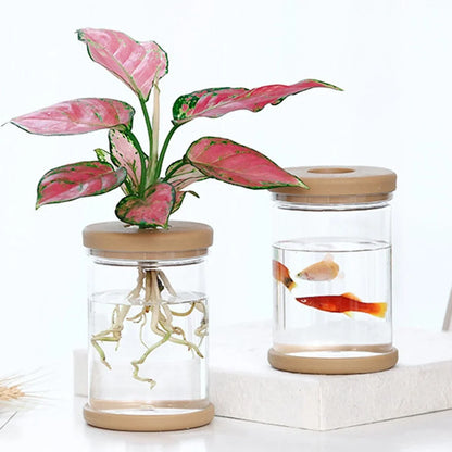 Mini Hydroponic Flower Pot Home Vase Decor Transparent Imitation Glass Plastic Plant Pots Green Plants Pot For Home Decoration